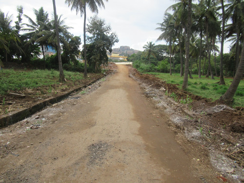 IMG 2603.jpg