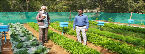 horti culture 1.jpg