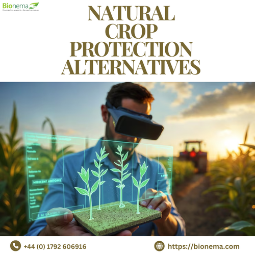 Natural Crop Protection Alternatives – Safe, Sustainable Farming Solutions.png