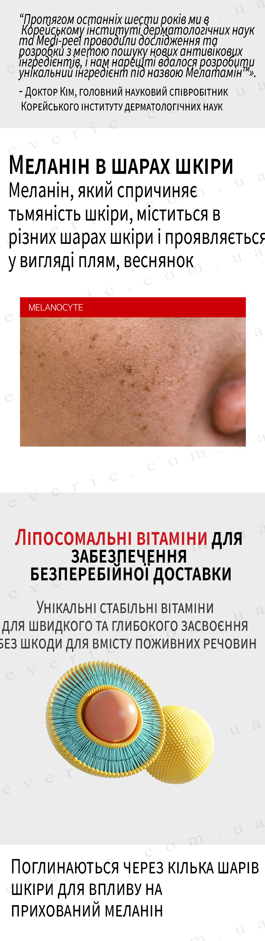 09 копия