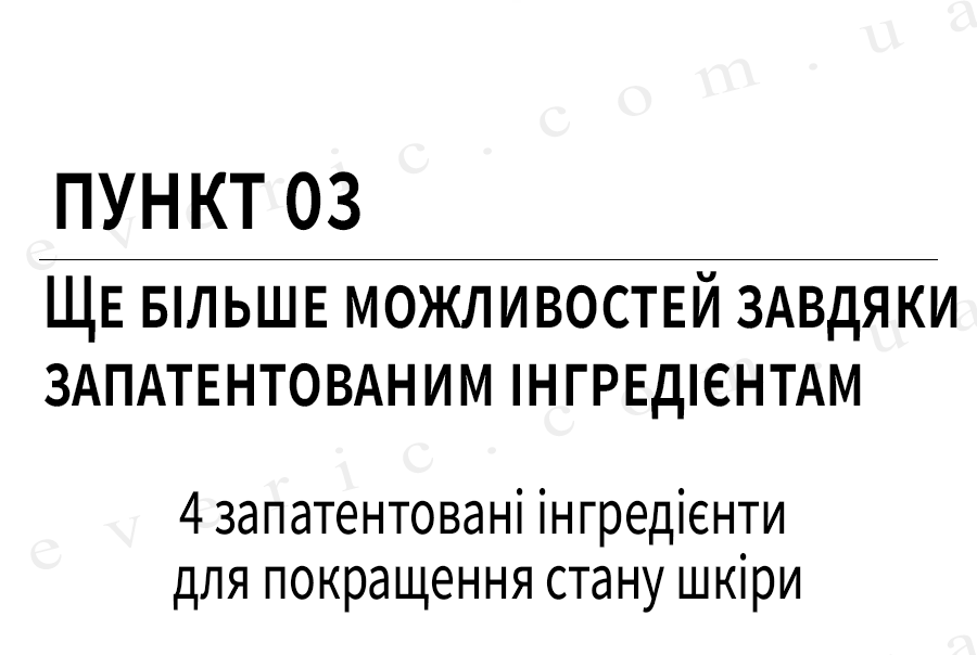 11 копия