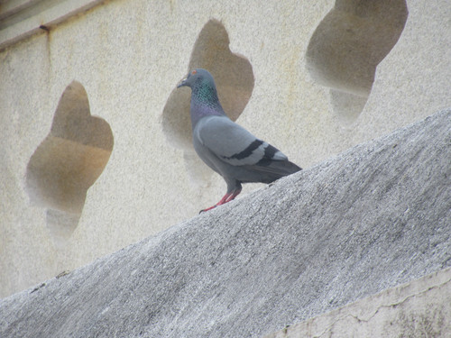 IMG 2993.jpg