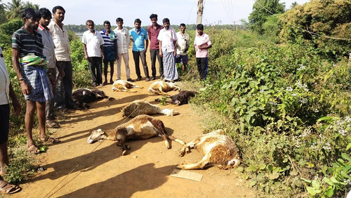 IMG 20210116 WA0089.jpg