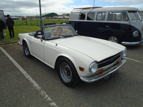DSC02428.jpg