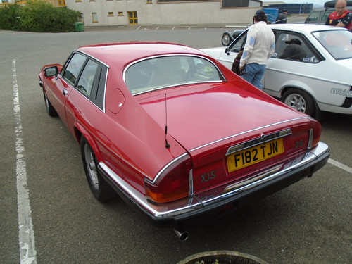 DSC02436.jpg