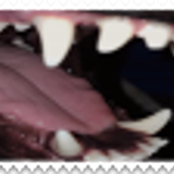 Tumblr l 273789983473899