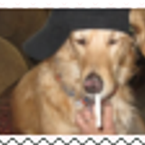 Tumblr l 272493325121019