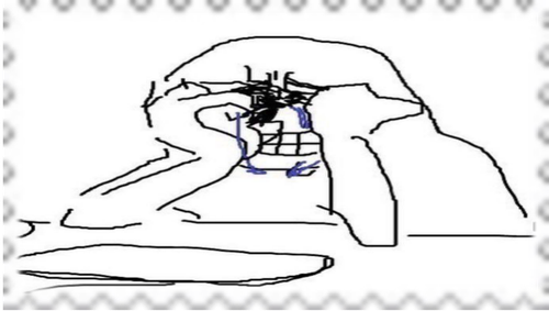 Tumblr l 272265961770182.png
