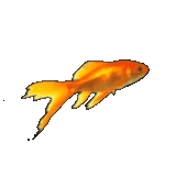 Tumblr l 272816134768365.gif