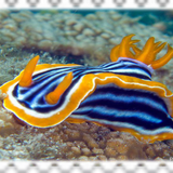 Tumblr l 272388965705978