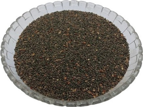 500 bathua seeds 0 064 nature gr.jpg