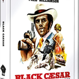 71cGQqo4ewL preview rev 1.png