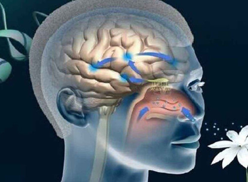 rOg2RZzDQdxwbXKYoxpthnZkerQ3hnddmupGfR3nSOGe9BIoB2lx4EVxJ55mBuPtBMnXBco2mTAXlFpfxVggTkPHdvKT fol7l40.jpg