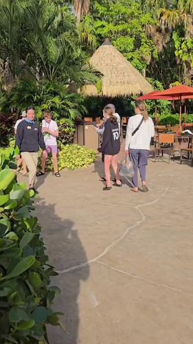 WV4N5pB AjGZMGsU.jpg