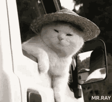 3Q2Bgmg.gif