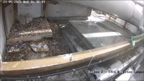 DCwUZiKQgzo U6Pt.jpg