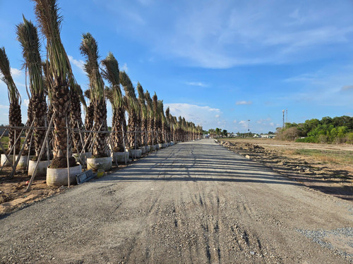 492310944 122208157286139589 7461181746971483430 n.jpg