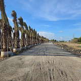 492310944 122208157286139589 7461181746971483430 n