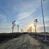 492863004 122208157226139589 6024200647942038713 n