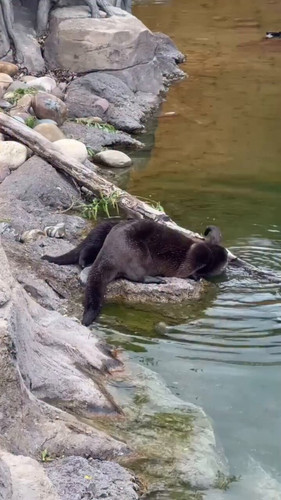 Aw7aC7v Hc3hp4Eb.jpg