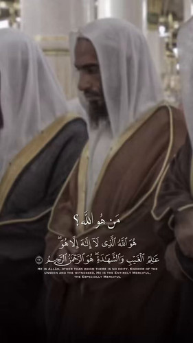 SZDtHZb qtbuNCMr.jpg