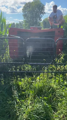 pKVmQigHW K OWwG.jpg