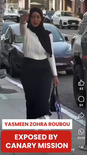 pedq3Di8TXMv KKl.jpg