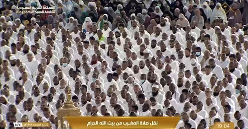 wLC6t772 SIFCvyP.jpg