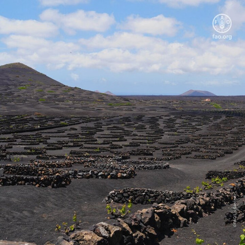 tCvF22p9cVRXHo9 .jpg