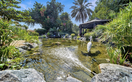 Dive into Perfection with Aqualivin Swimming Pools.jpg