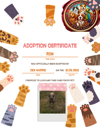 Colorful Cute Kid Cat Adoption Certificate2.png