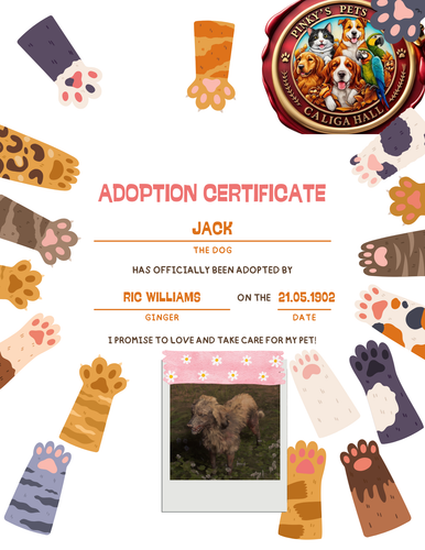 Colorful Cute Kid Cat Adoption Certificate.png