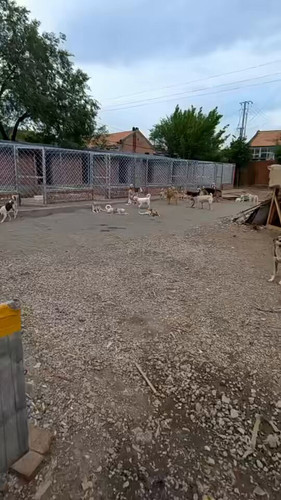 tK 0s3tw4hBZRqd7.jpg