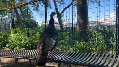 wDg1d5k0B kfPq2m.jpg