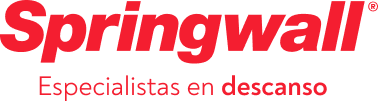 Logo Springwall