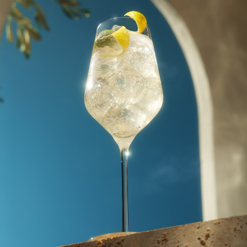 Martini Xtra Dry 1000x1000px 03.jpg