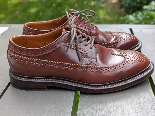 PXL 20250520 202308088.PORTRAIT