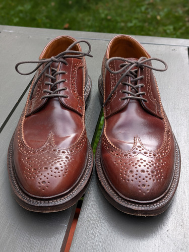 PXL 20250520 202248674.PORTRAIT