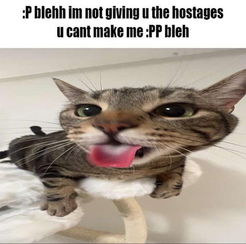 Screenshot 20231101 145208 Instagram.jpg