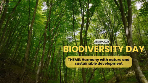 OOgTY8V 9h2LWV 6.jpg