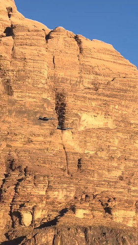 jPXQbCrMxrX nDiR.jpg