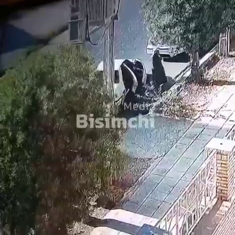  L Jso1OlxDZoNia.jpg