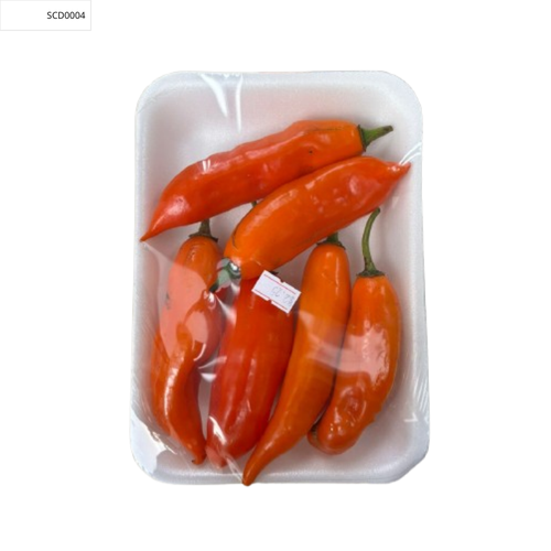 SCD0004.png