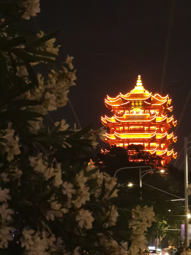 IMG 20250521 200349.jpg