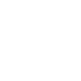 bat svgrepo com (1).png