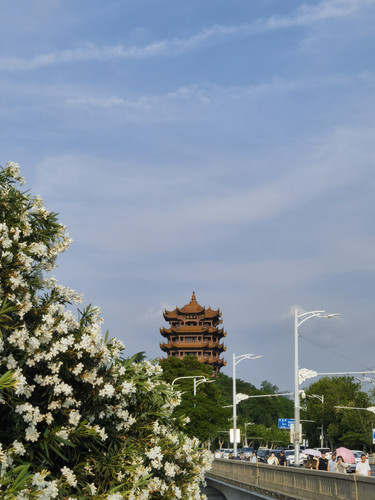 IMG 20250521 173533.jpg