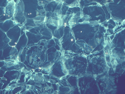 Swimming Pool Summer GIF.gif