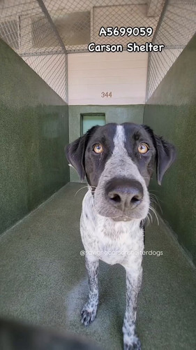 RtUxnqHi5j c1Nkb.jpg