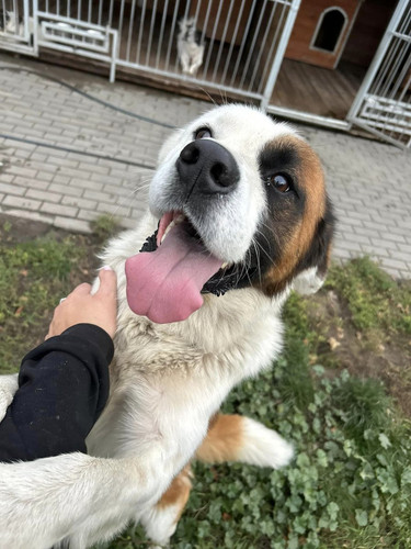 GbEgt9Pb0AA cpW?format=jpg.jpg