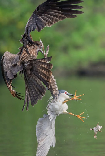 Screenshot 20250522 135618.jpg